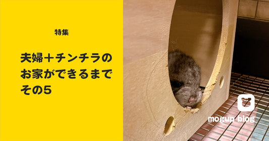 【特集】夫婦+チンチラのお家ができるまで_その5(最終候補3社)