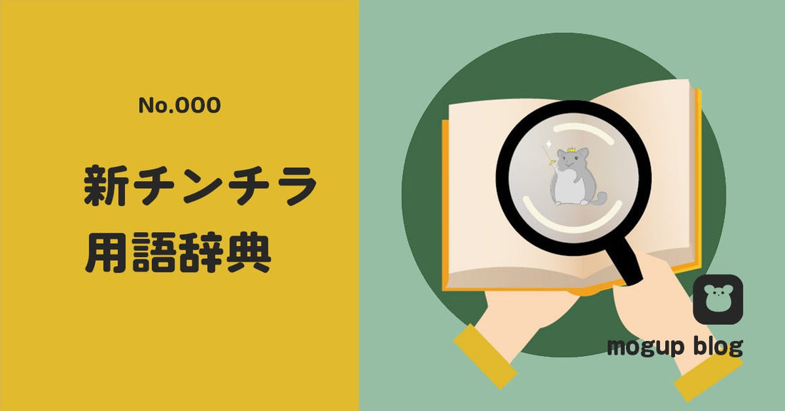 新SNSチンチラ用語辞典