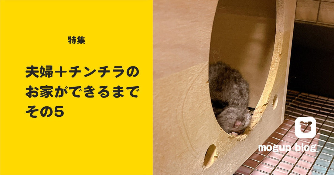 【特集】夫婦＋チンチラのお家ができるまで_その5（最終候補3社）