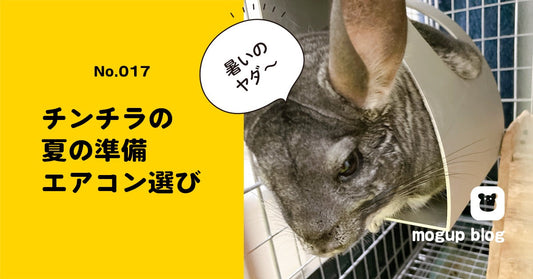 No.017　チンチラを夏の暑さから守る｜エアコン・除湿機の選び方と熱中症サイン
