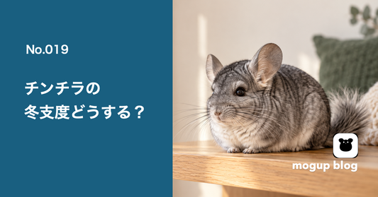 No.019　チンチラの冬支度どうする？